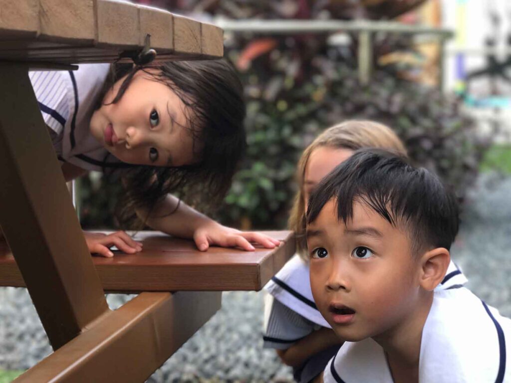 Pegasus International Preschool Pegasus International Preschool