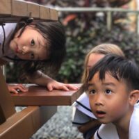 Pegasus International Preschool