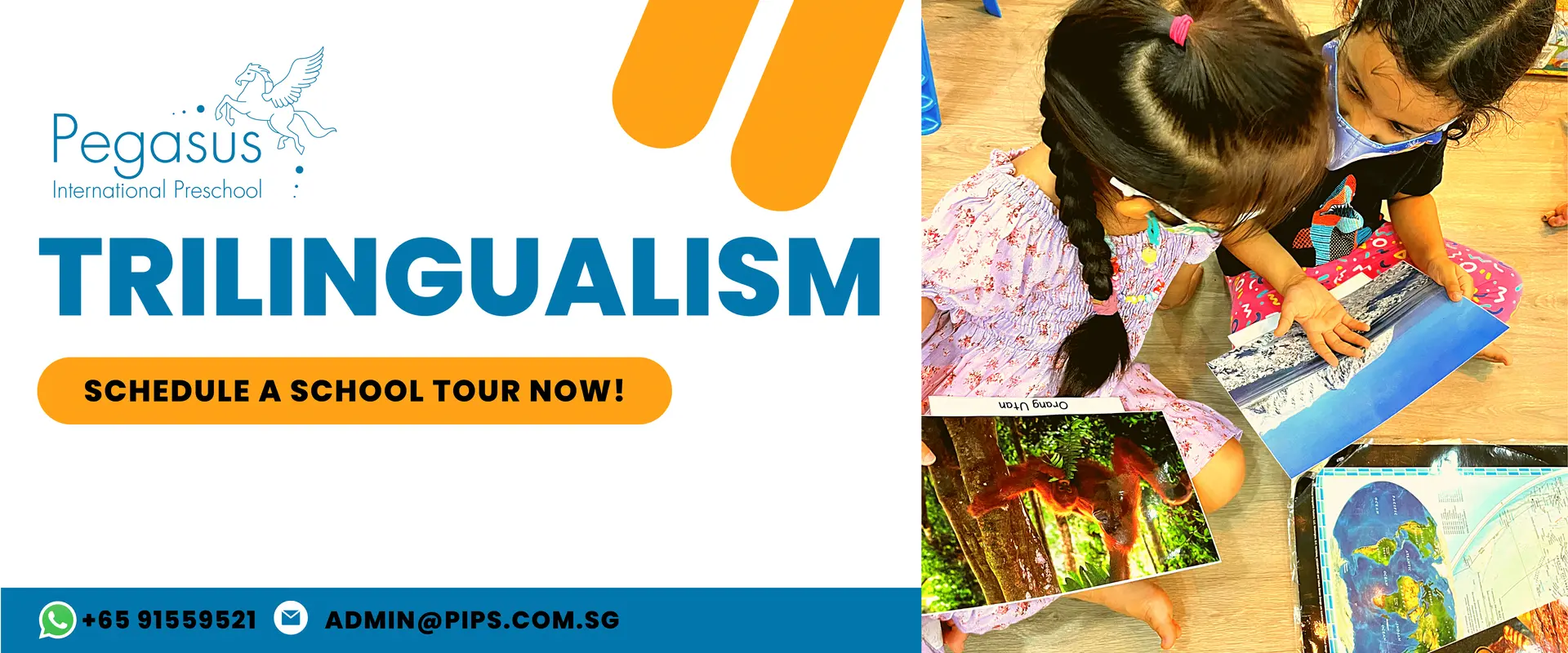 Pegasus preschool trilingual learning session